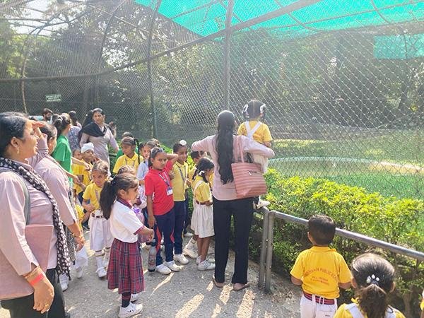 School Picnic