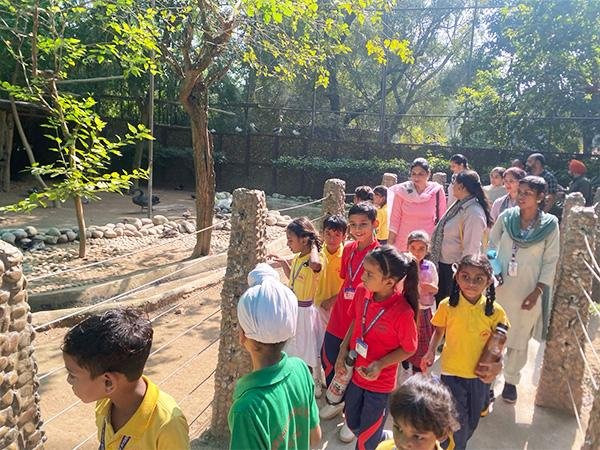 School Picnic