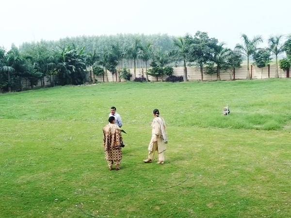 Sports at New Shivalik